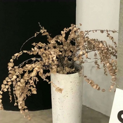 Furry插画素材实用分享福瑞交流群